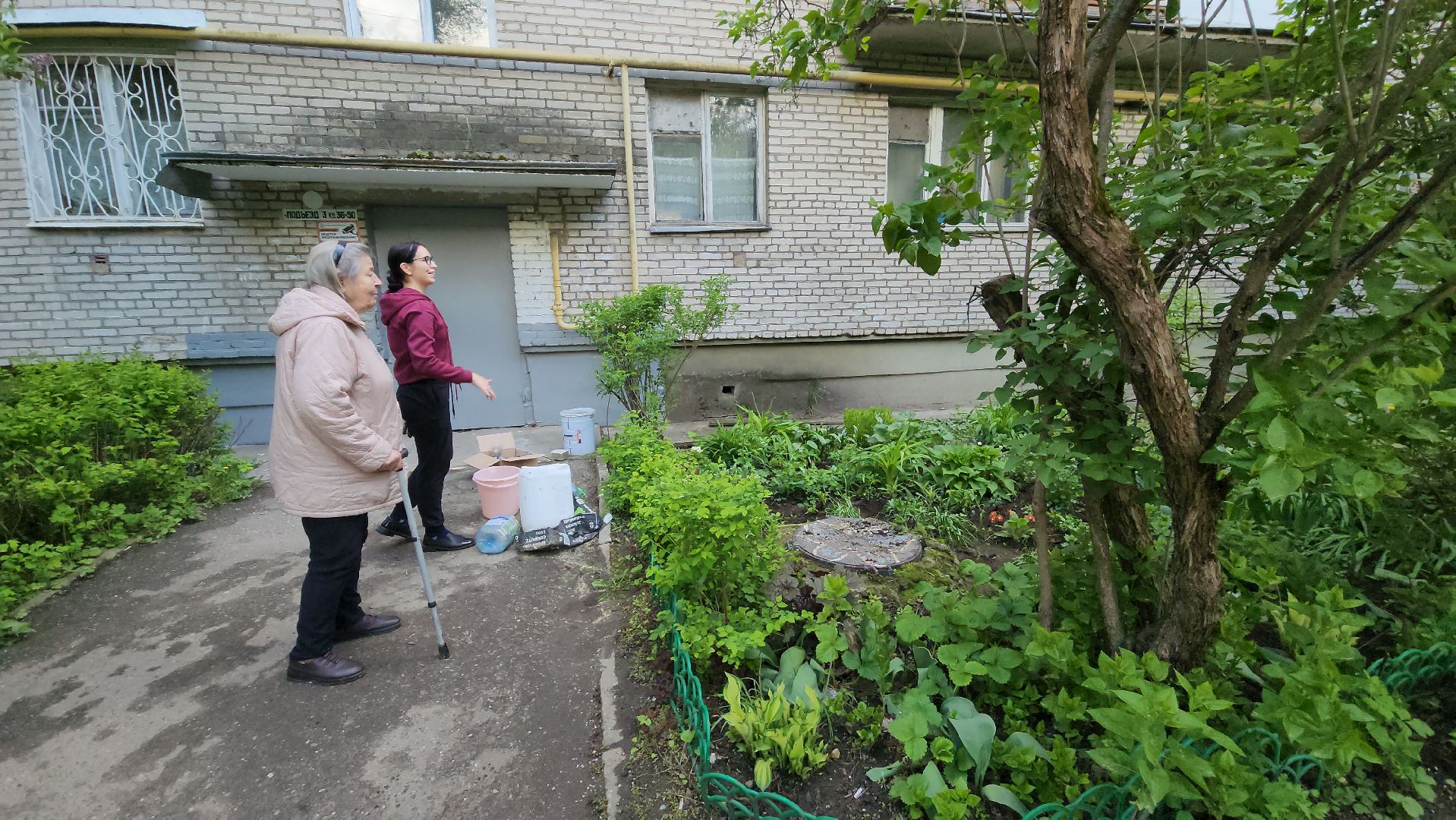 вертикалки, пушкино, цветник, клумбы у домов, жители,высадка, двор,