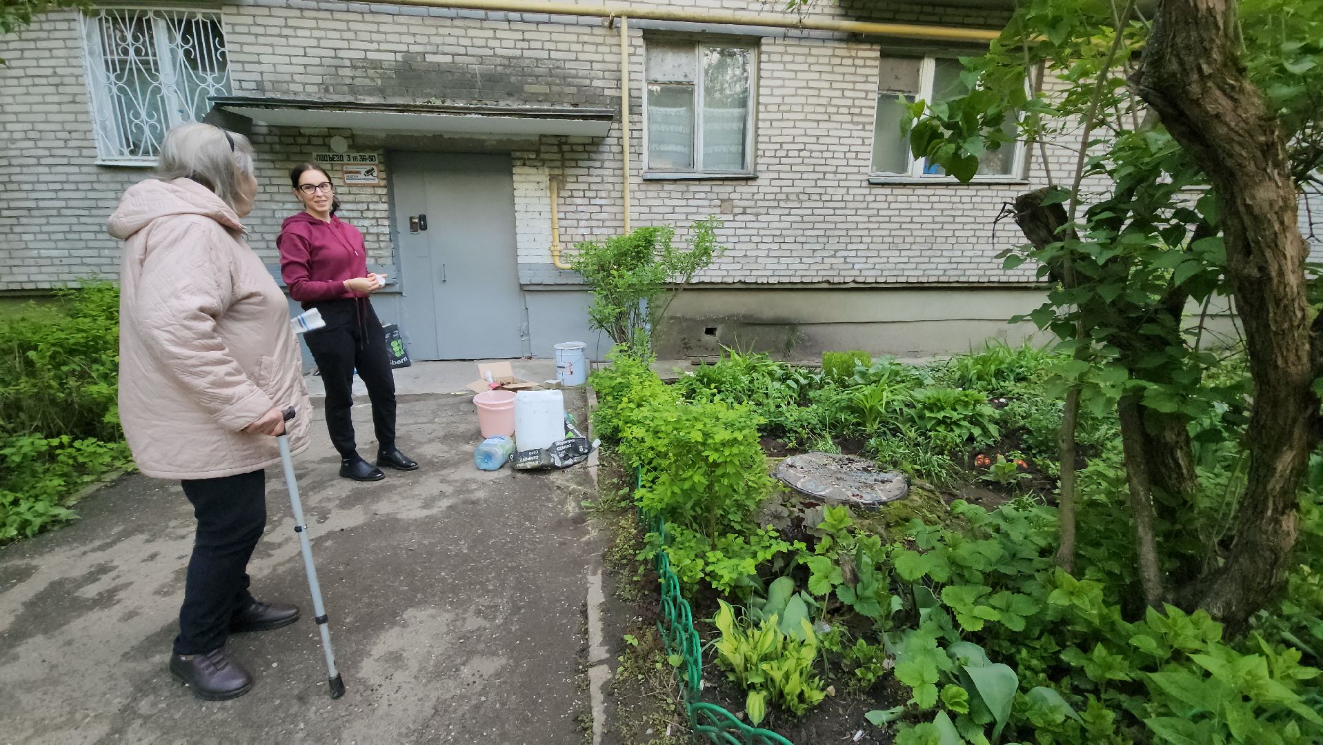 вертикалки, пушкино, цветник, клумбы у домов, жители,высадка, двор,