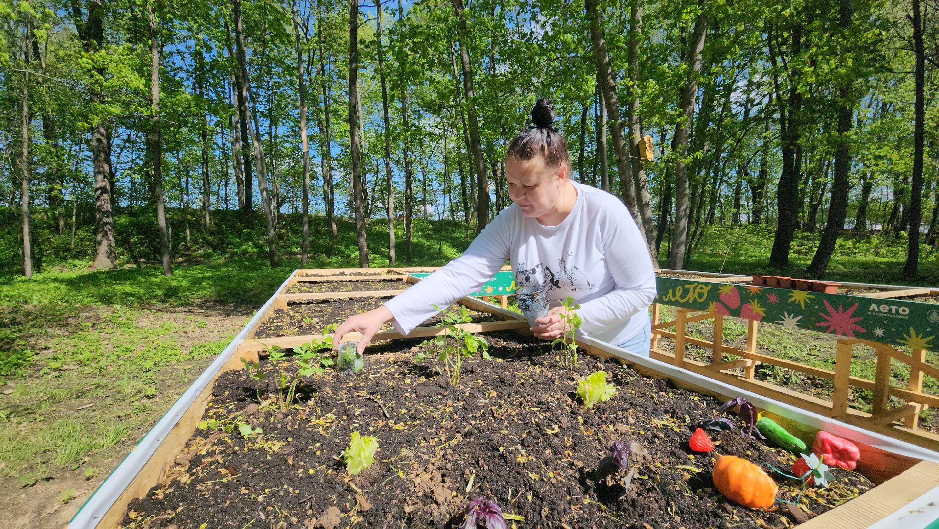Руза, Парк городок , общественный огород, Парки Подмосковья ,