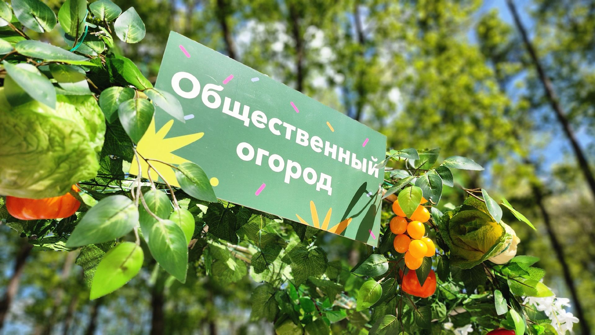 Руза, Парк городок , общественный огород, Парки Подмосковья ,