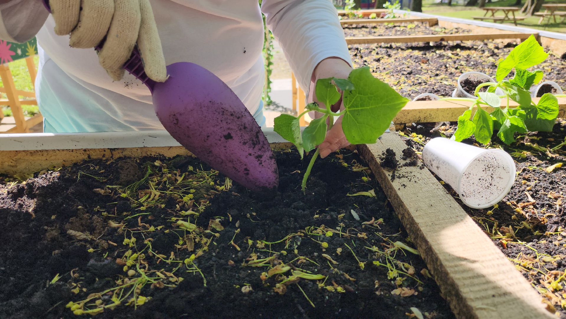 Руза, Парк городок , общественный огород, Парки Подмосковья ,