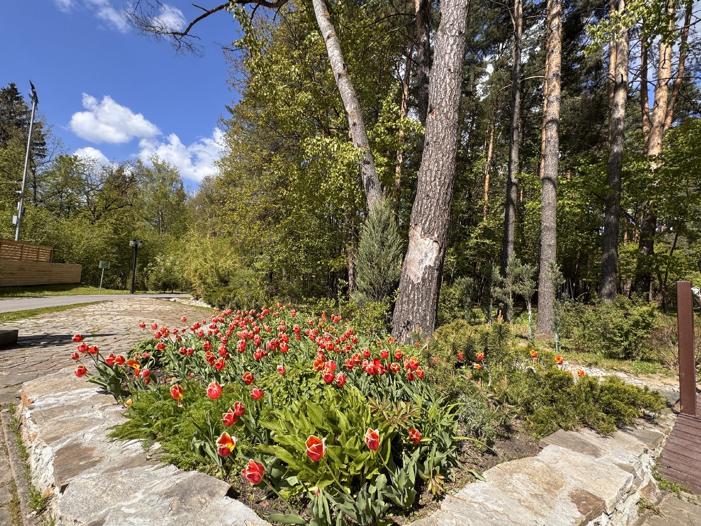 Фотолокация, одинцовский парк культуры спорта и отдыха, Фотозоны, Одинцово,