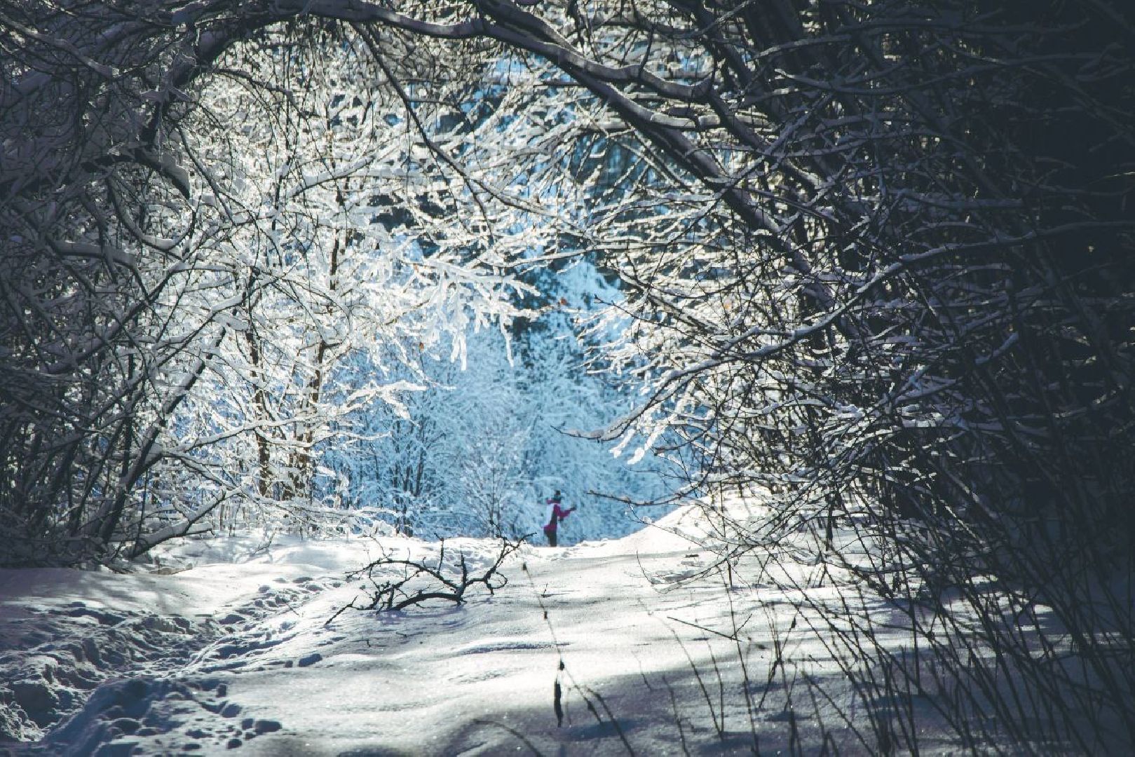 Фотолокация, одинцовский парк культуры спорта и отдыха, Фотозоны, Одинцово,