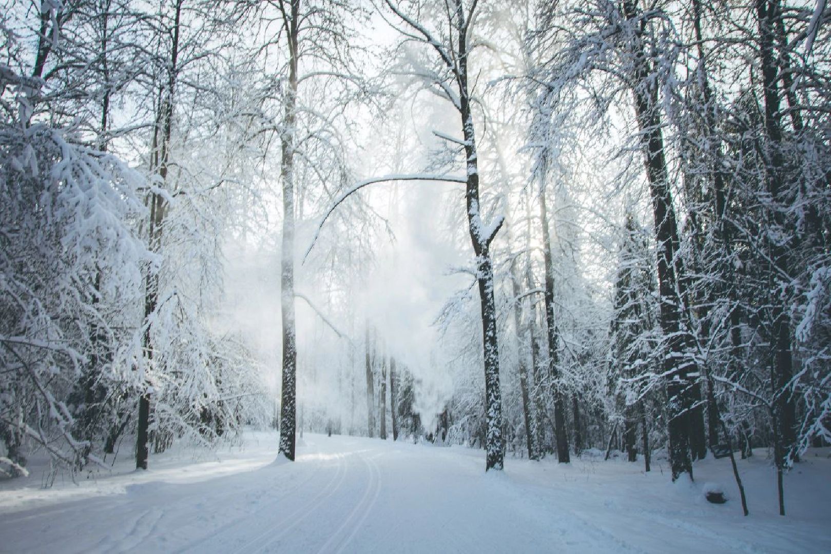 Фотолокация, одинцовский парк культуры спорта и отдыха, Фотозоны, Одинцово,