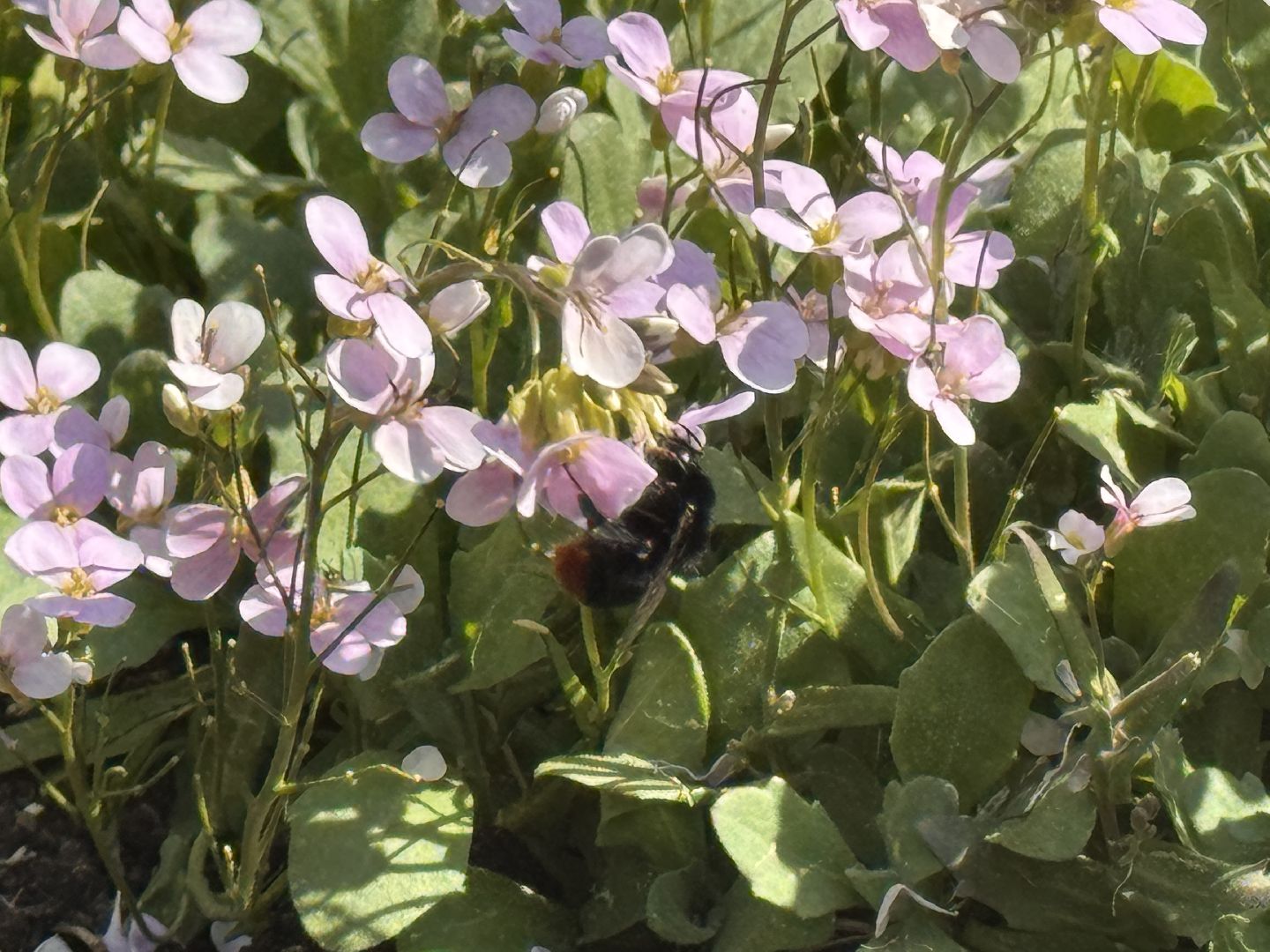 Фотолокация, одинцовский парк культуры спорта и отдыха, Фотозоны, Одинцово,