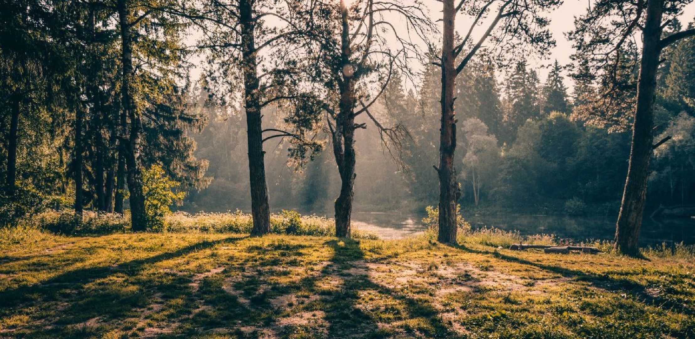Фотолокация, одинцовский парк культуры спорта и отдыха, Фотозоны, Одинцово,