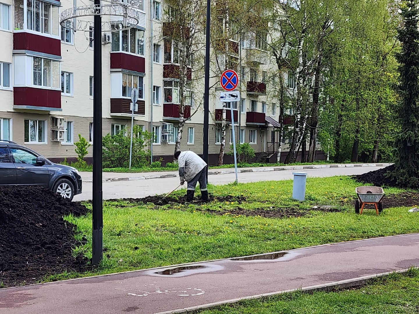 сергиев посад, озеленение города, благоуствойство, газон, бульвар кузнецова,