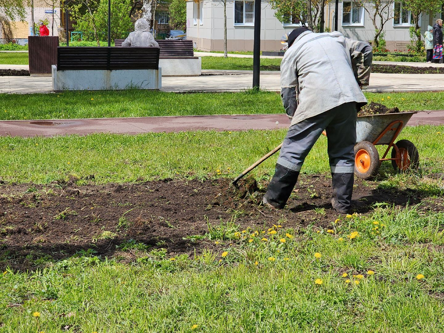 сергиев посад, озеленение города, благоуствойство, газон, бульвар кузнецова,