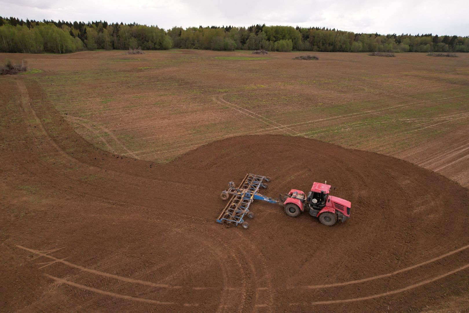 видео с коптера,  посев ярового рапса, Агрокомплекс в шаховском , посевная,