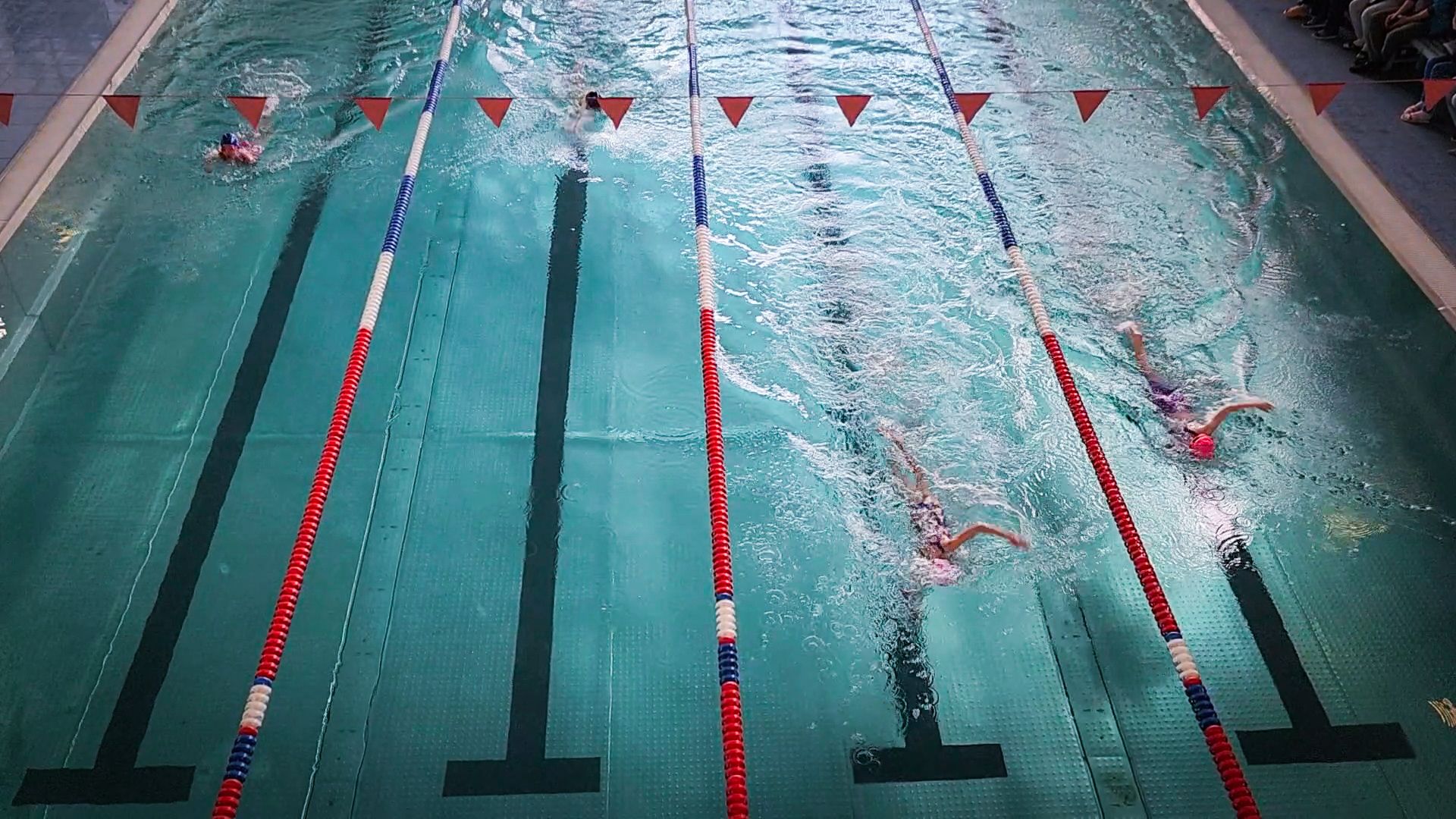 бронницы , соревнования по плаванию , соревнования на кубок городского округа Бронницы , дети,