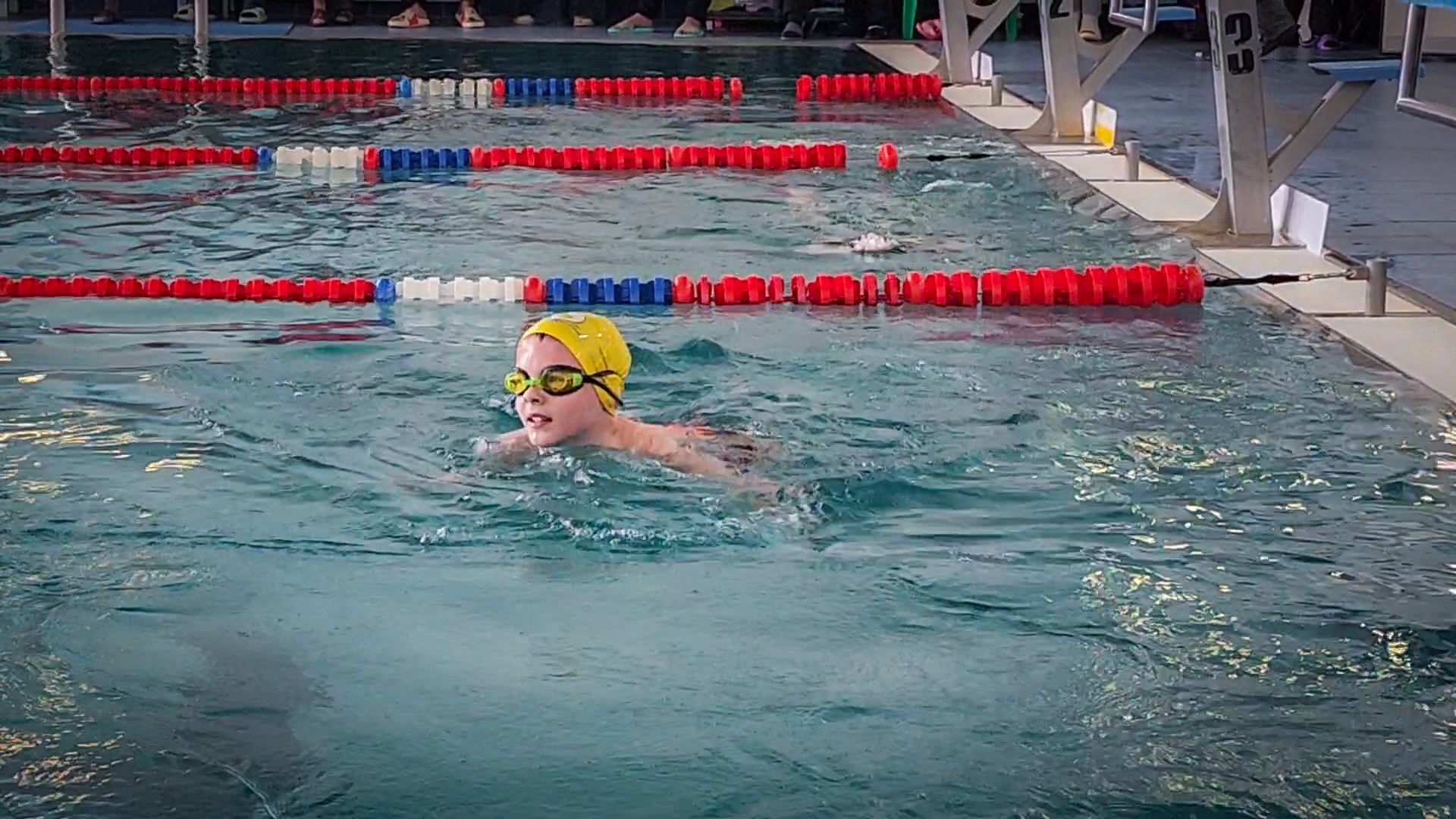 бронницы , соревнования по плаванию , соревнования на кубок городского округа Бронницы , дети,