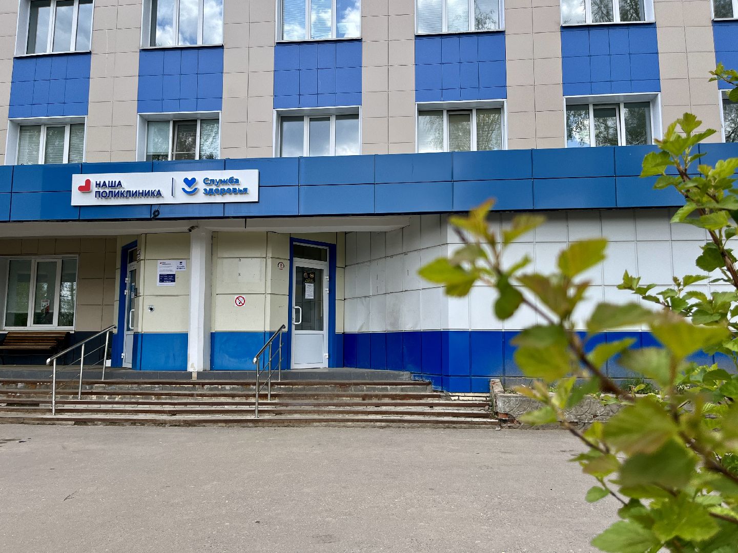 наро-фоминская областная больница, аллергия, врач аллерголог-иммунолог, береза,