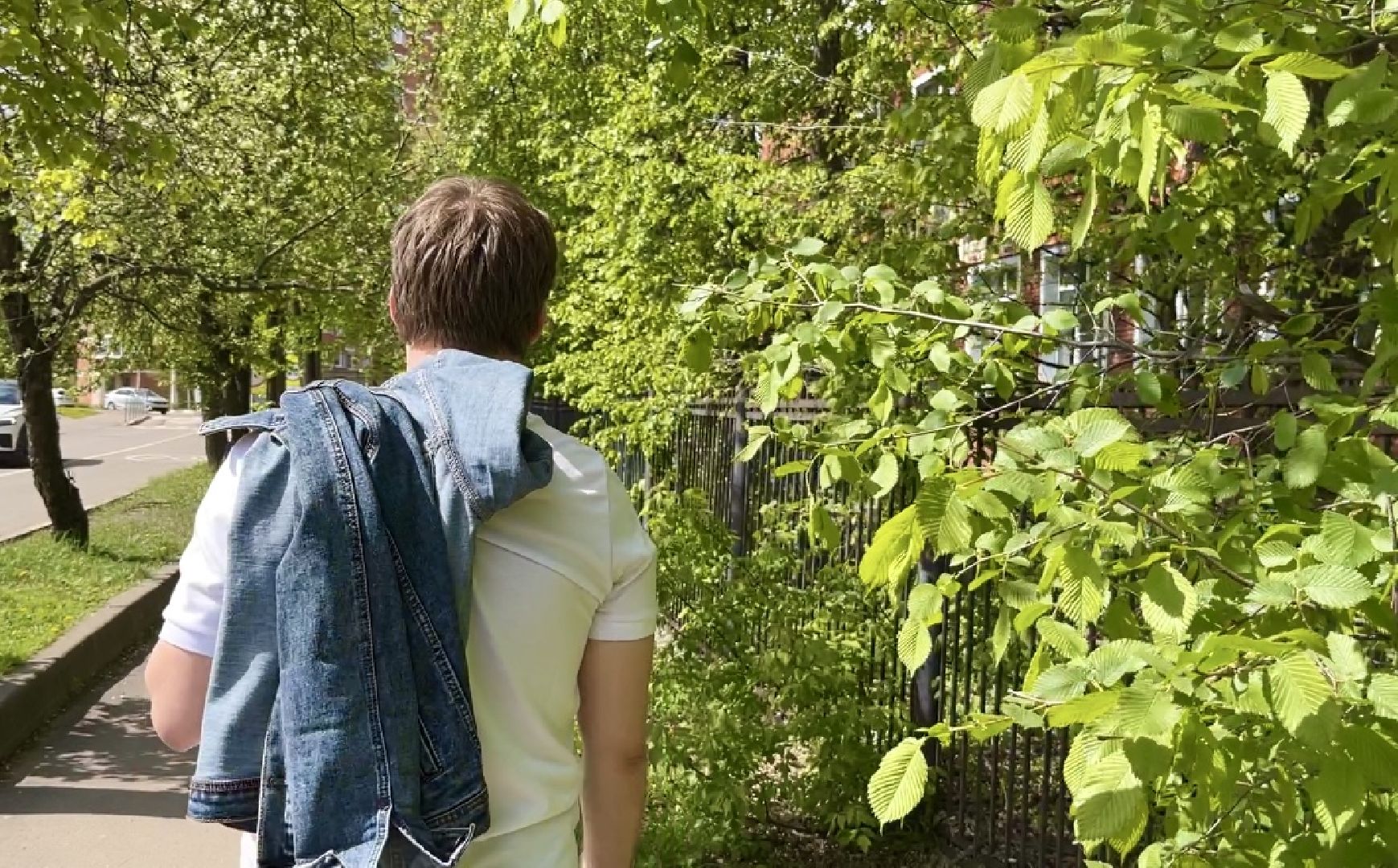 наро-фоминская областная больница, аллергия, врач аллерголог-иммунолог, береза,