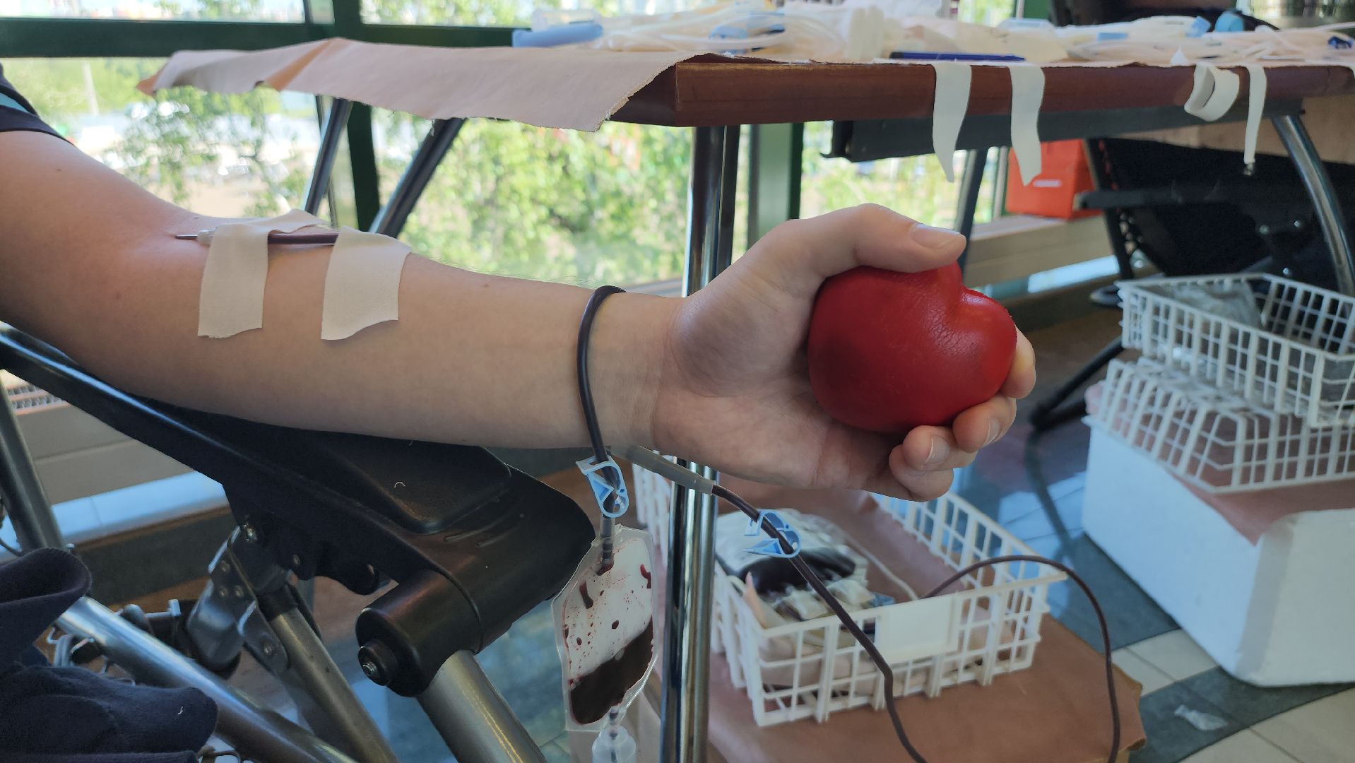 люберцы, отделение переливания крови, люберецкая областная больница,