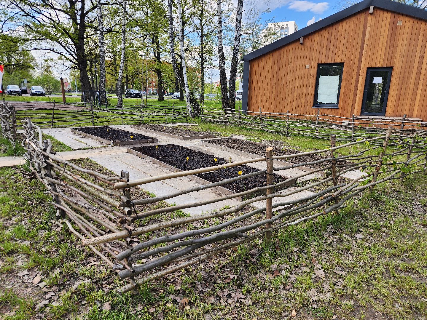 фрязино, лесопарк, открытие летнего сезона, аптекарский огород,