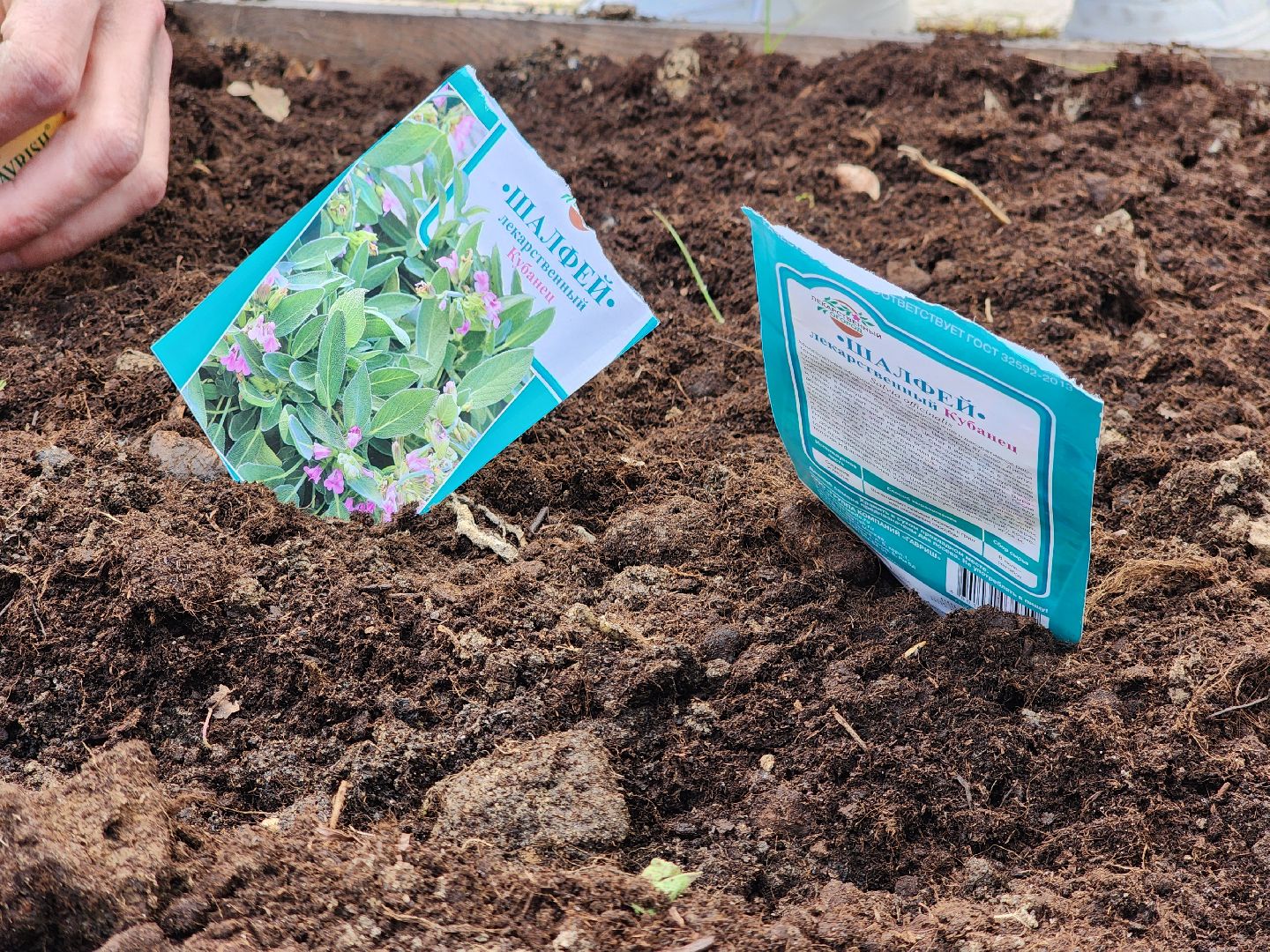 фрязино, лесопарк, открытие летнего сезона, аптекарский огород,