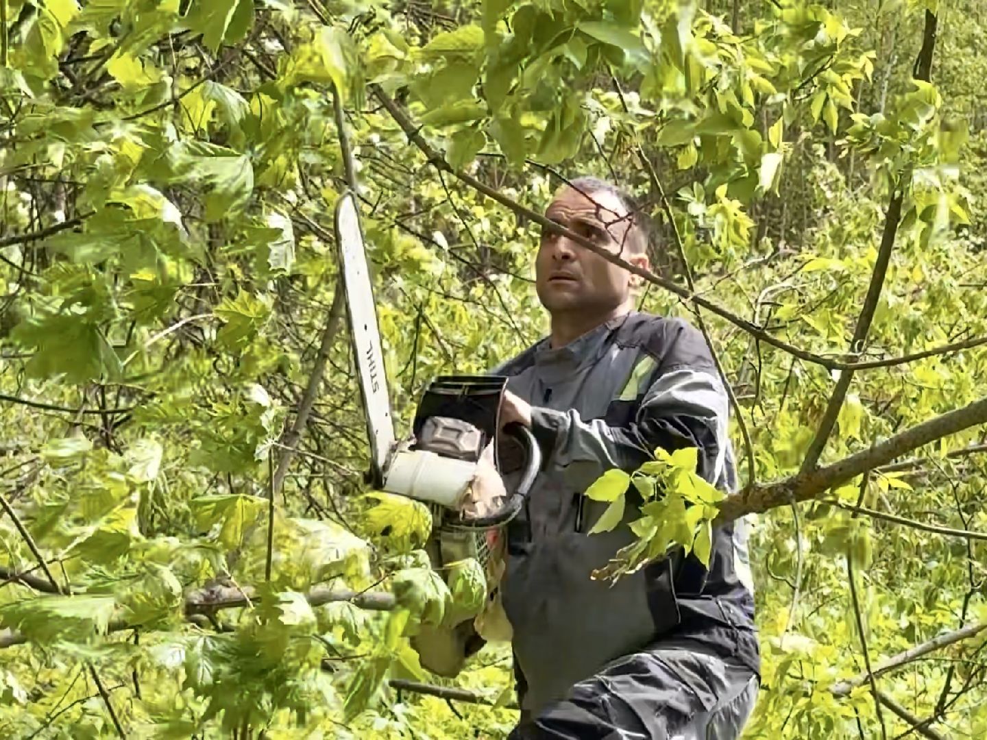 раменское, раменский парк, благоустройство, реконструкция,