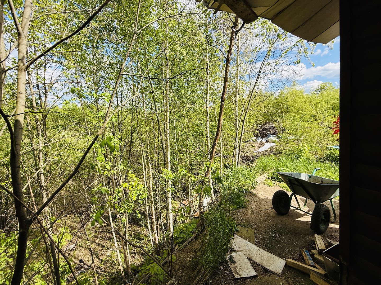 раменское, раменский парк, благоустройство, реконструкция,