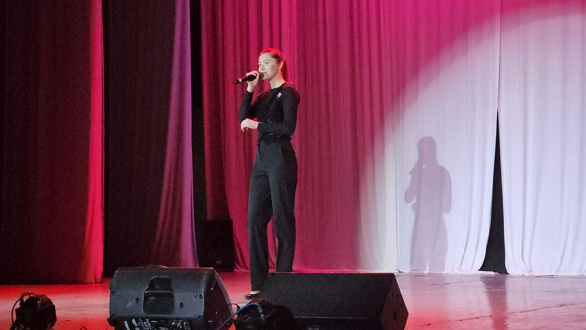 пушкино, концерт, юбилей ансамбля, песни, дети, эстрада, вокальное искусство, зрители,