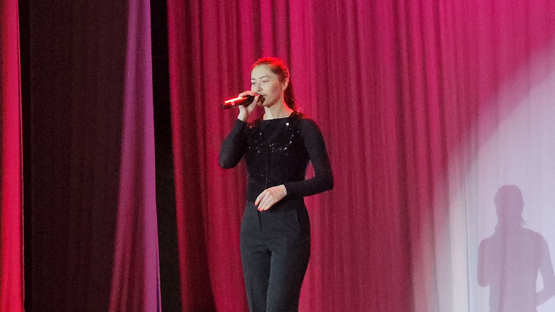 пушкино, концерт, юбилей ансамбля, песни, дети, эстрада, вокальное искусство, зрители,