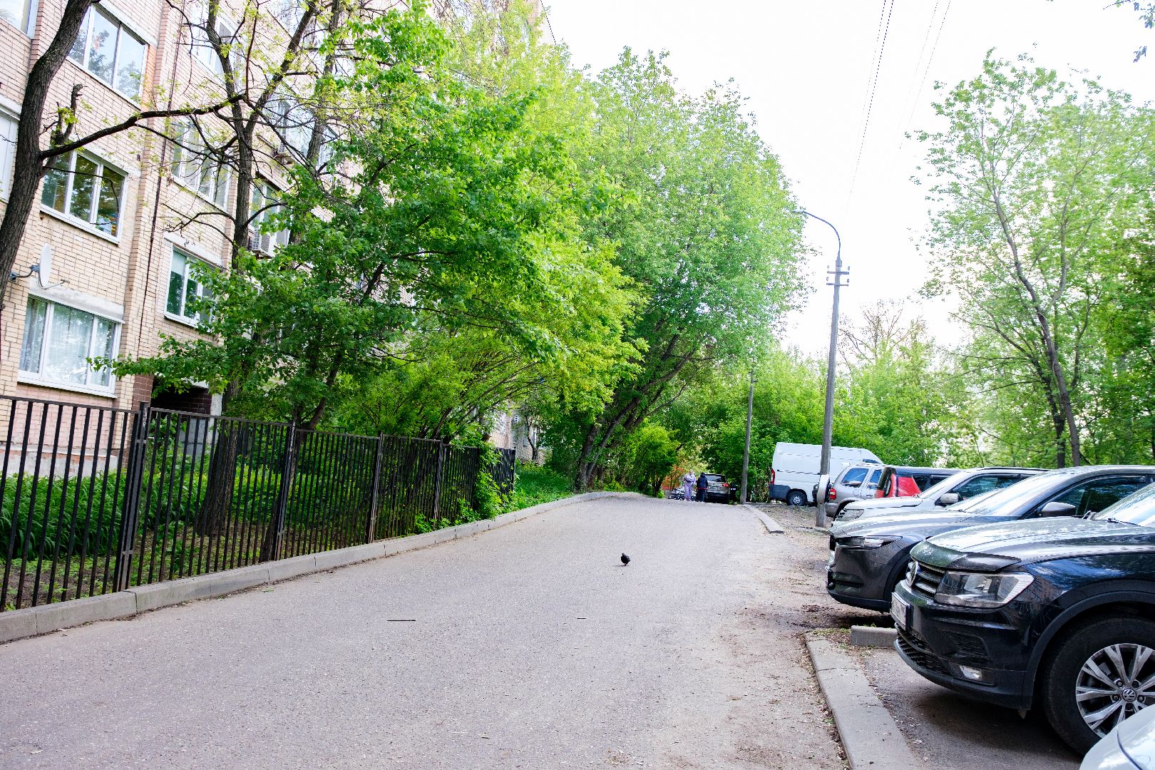 общество, лыткарино, выездная администрация,