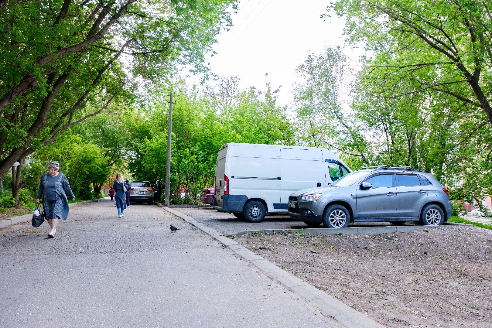 общество, лыткарино, выездная администрация,