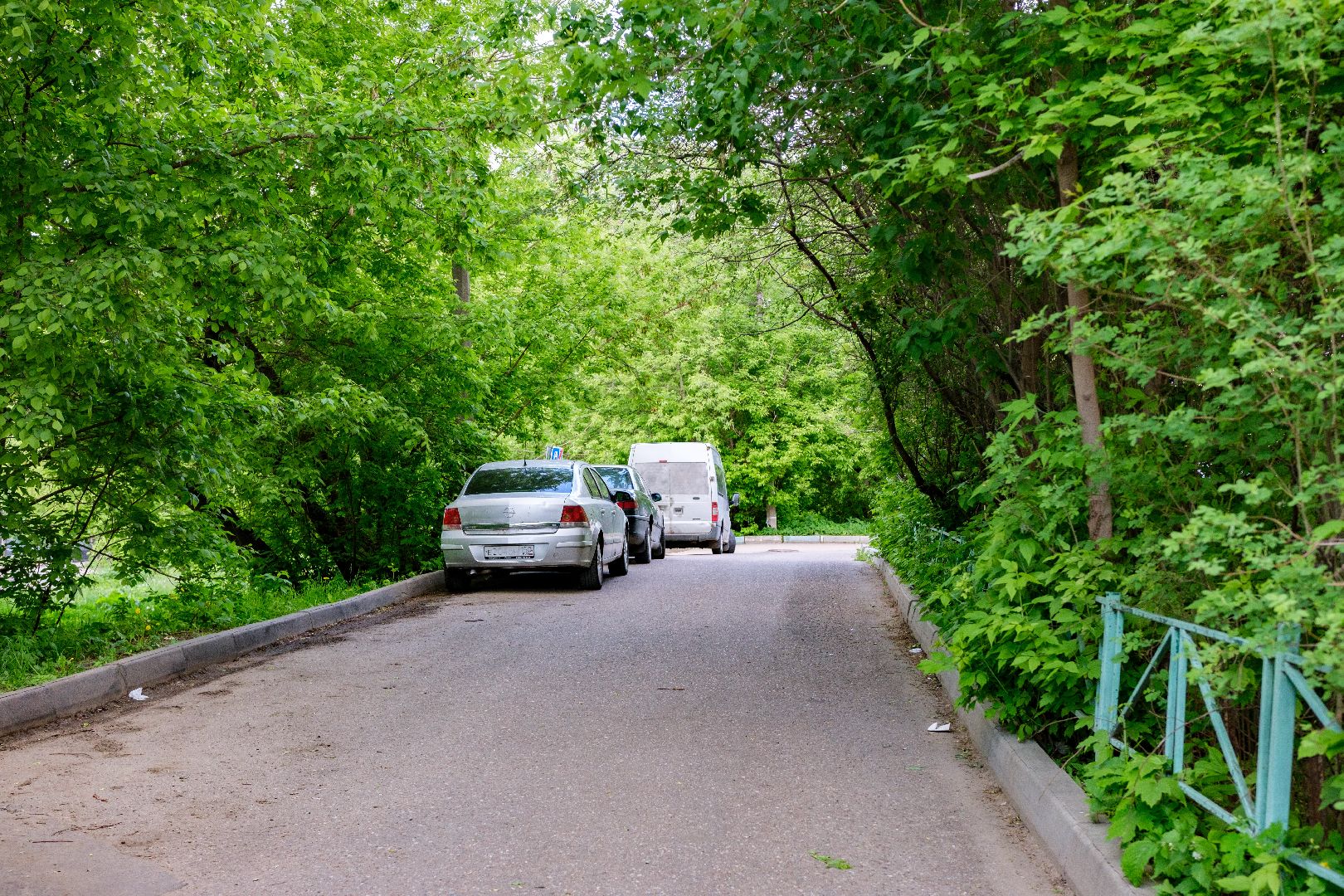 общество, лыткарино, выездная администрация,