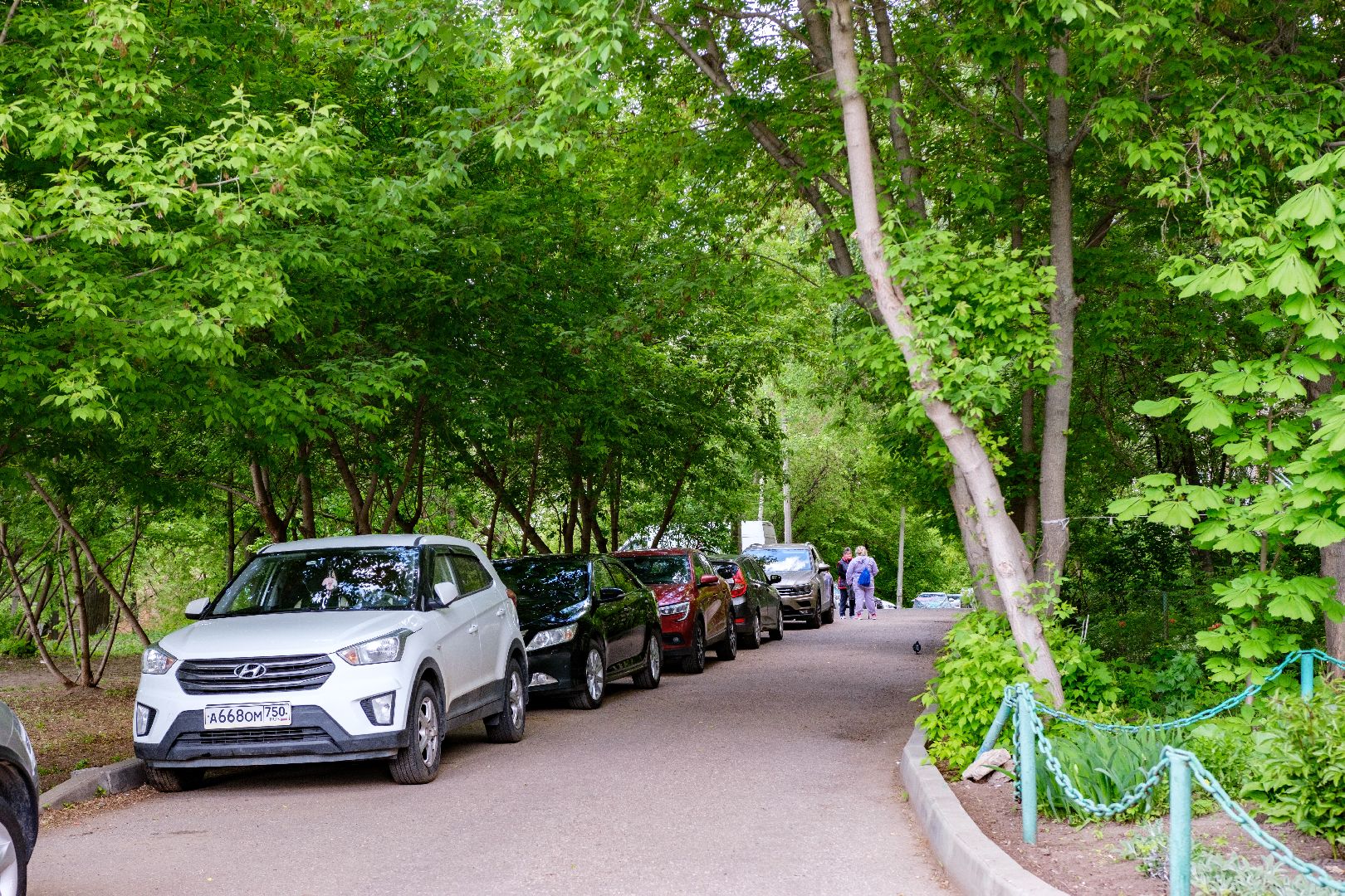 общество, лыткарино, выездная администрация,