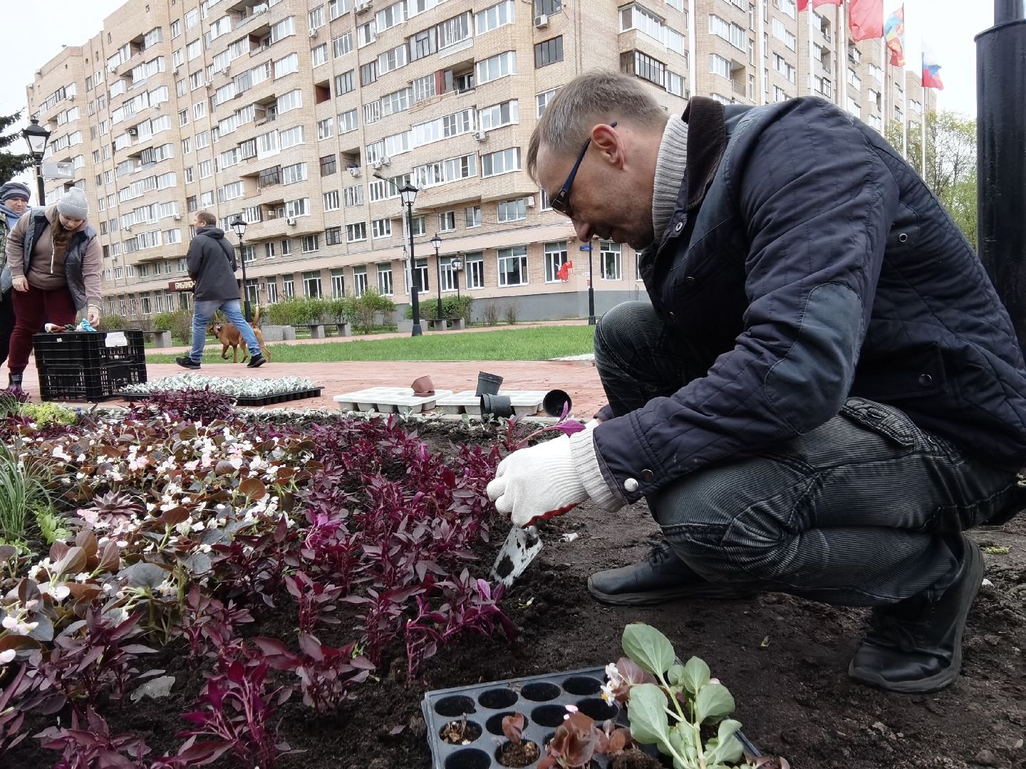 Балашиха, благоустройство, цветы, клумбы, уличные вазоны, кашпо, альпийская горка, День Победы