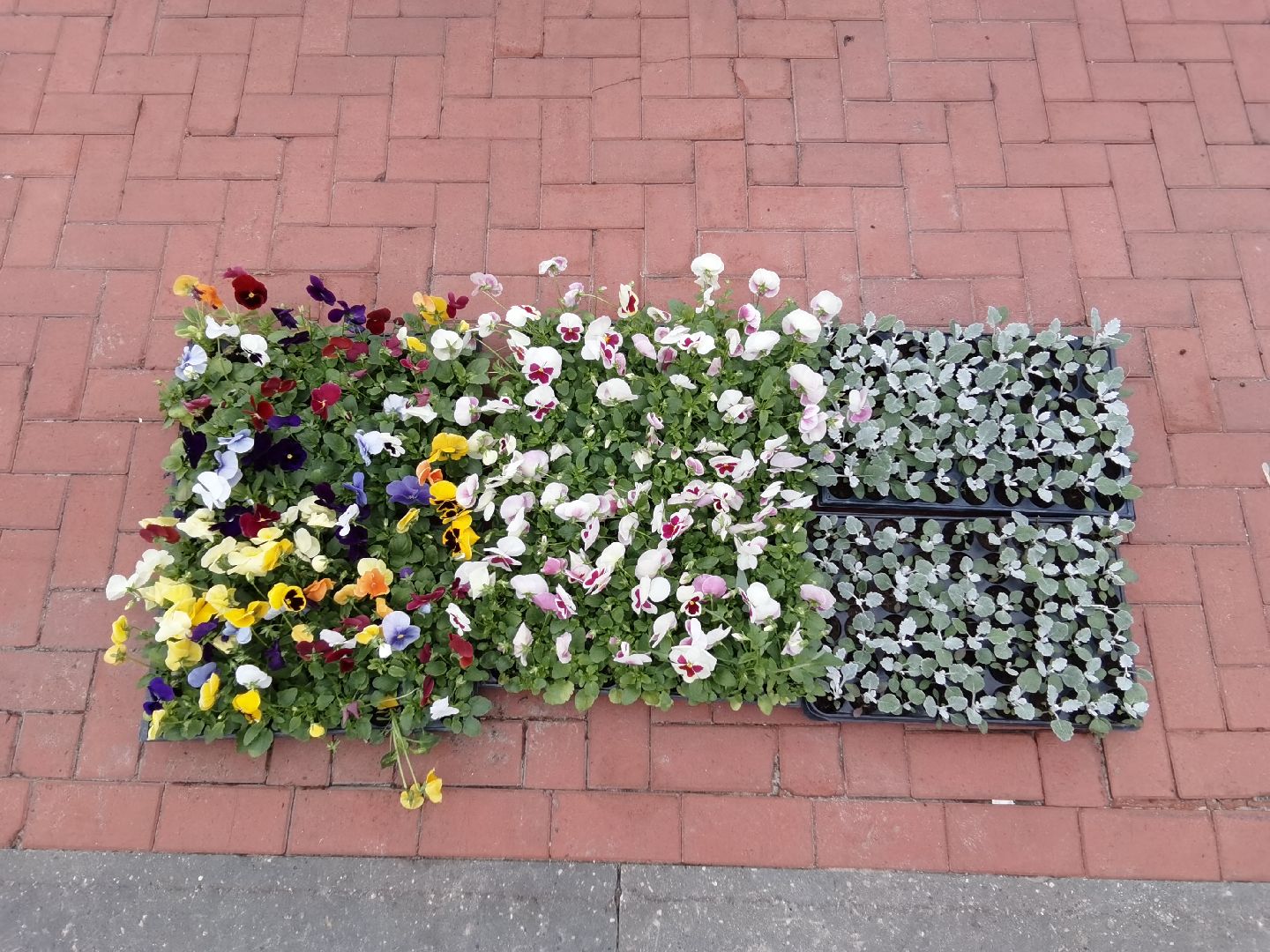 Балашиха, благоустройство, цветы, клумбы, уличные вазоны, кашпо, альпийская горка, День Победы