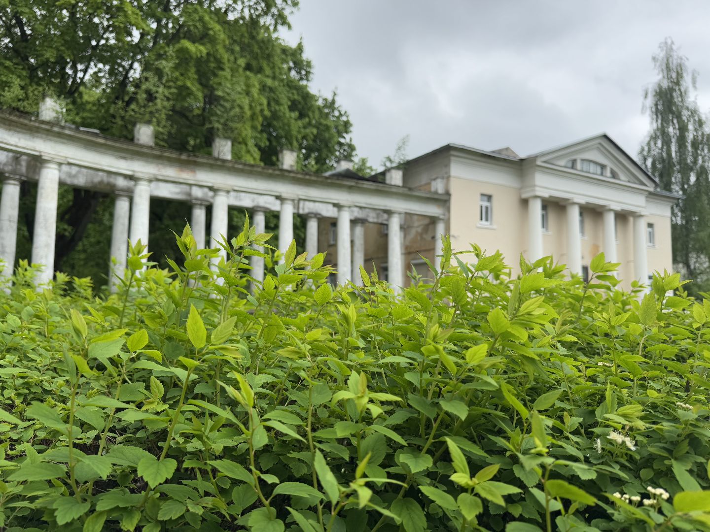 усадьба пехра-яковлевское, балашиха,