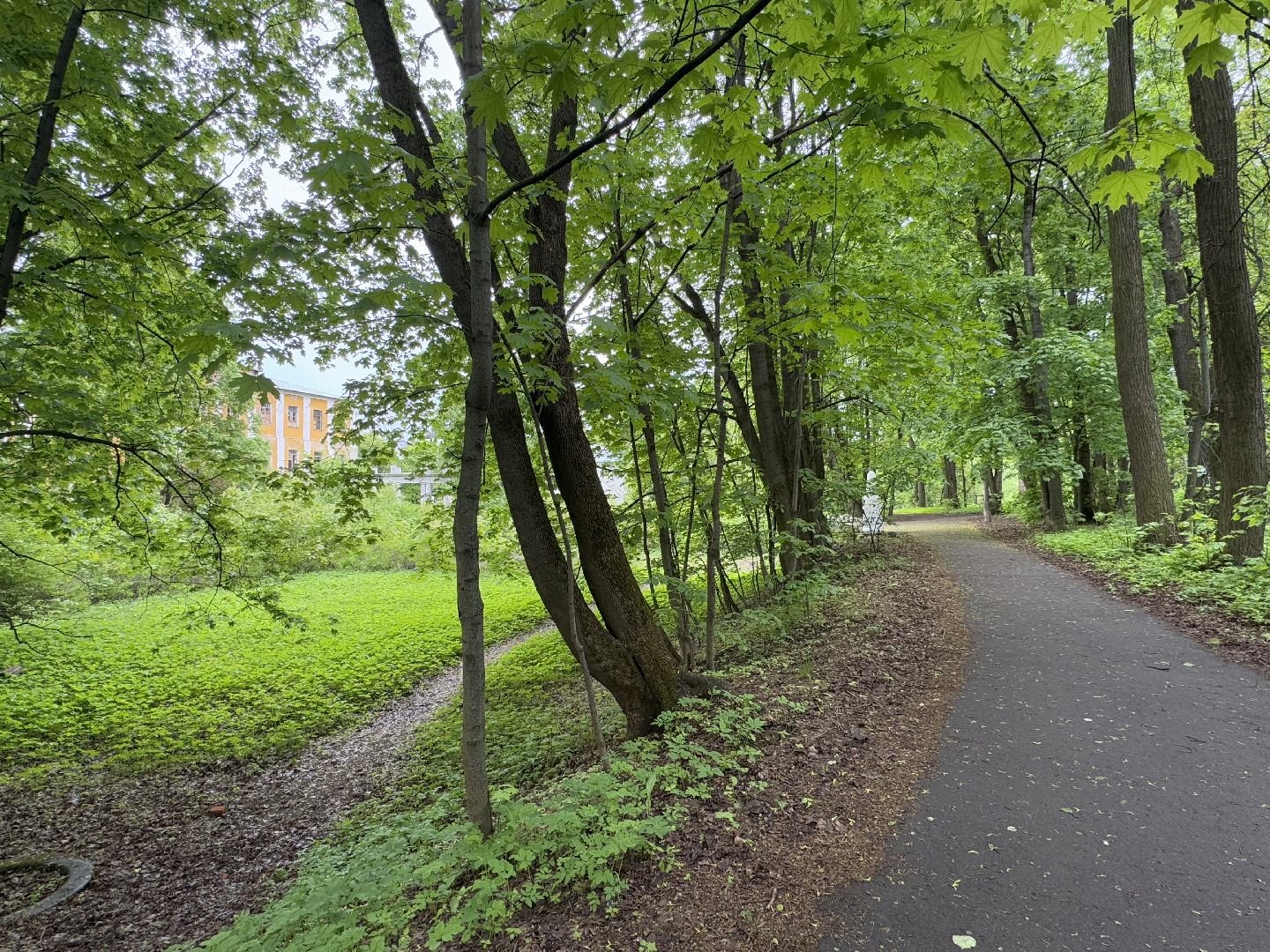 усадьба пехра-яковлевское, балашиха,