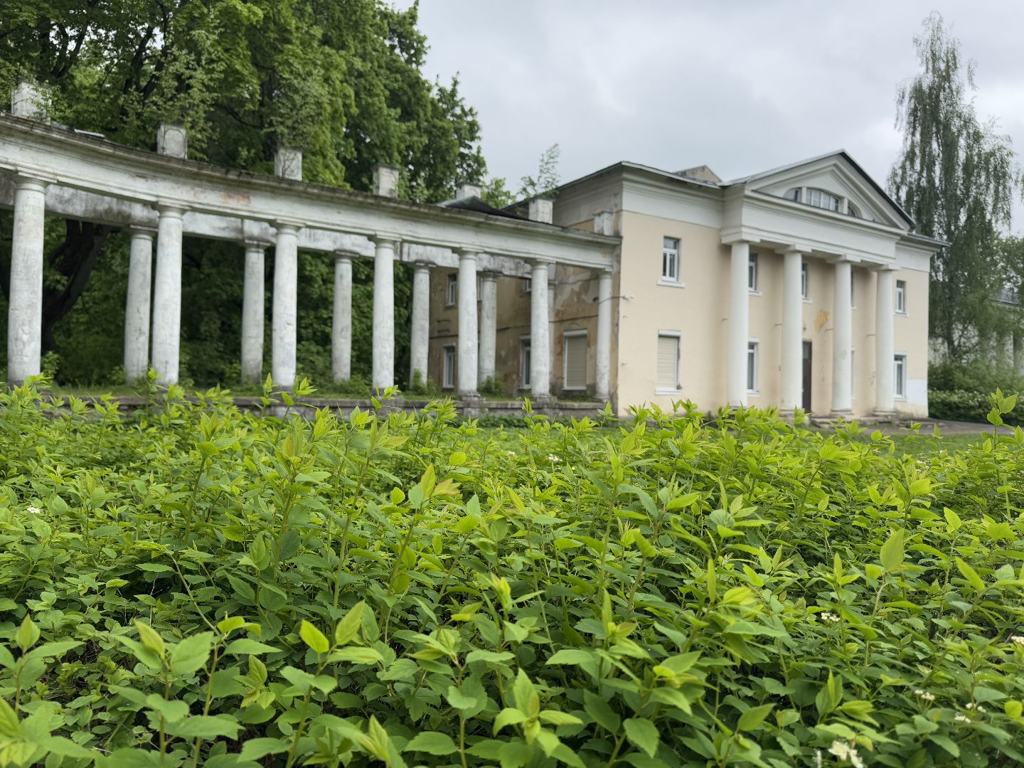 усадьба пехра-яковлевское, балашиха,