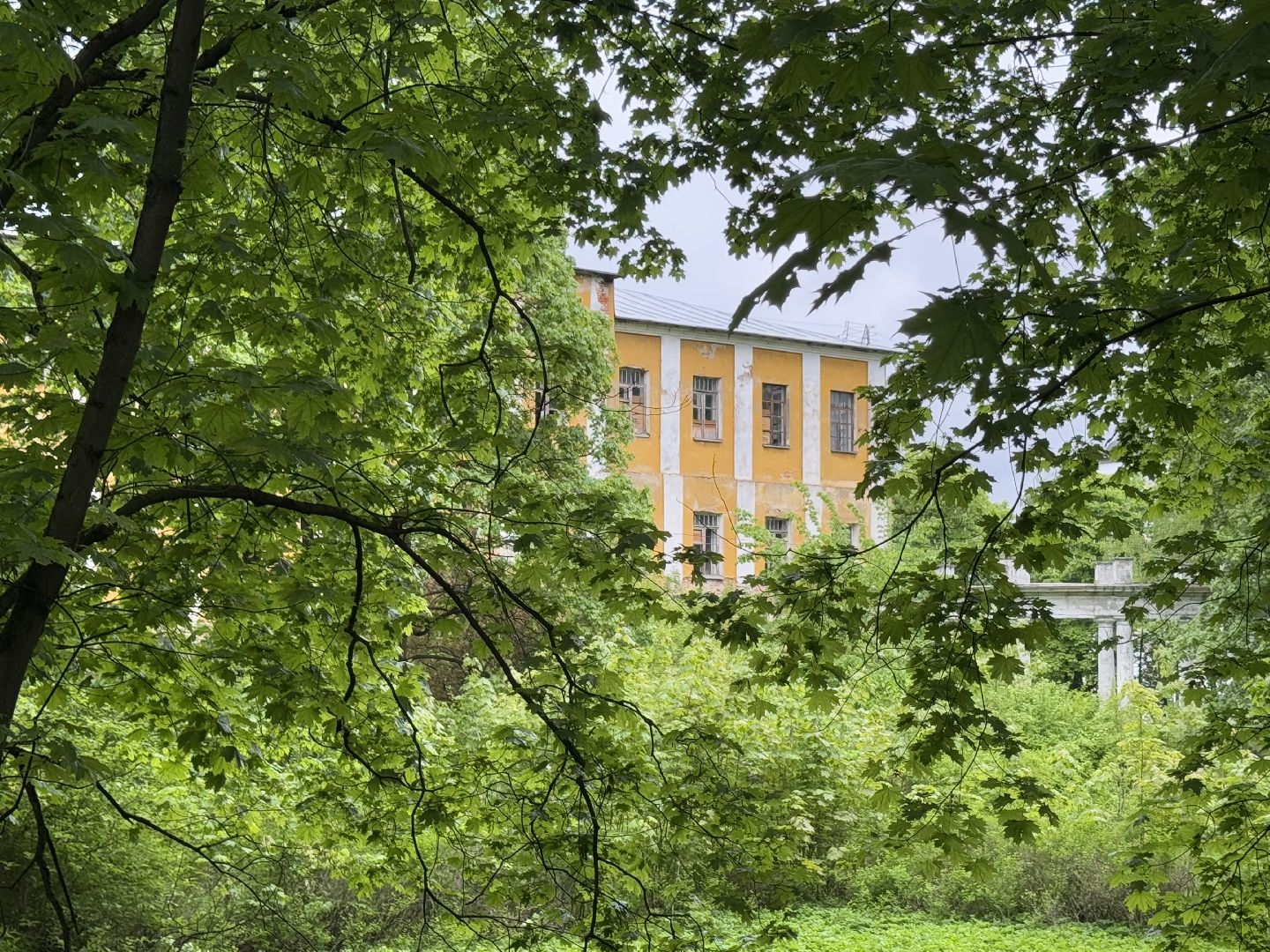 усадьба пехра-яковлевское, балашиха,