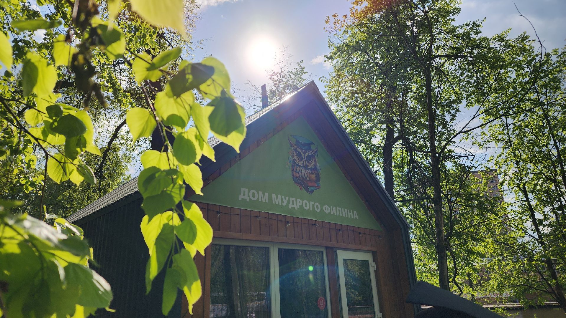 парки подмосковья, лето в подмосковье,  лосино-петровский,