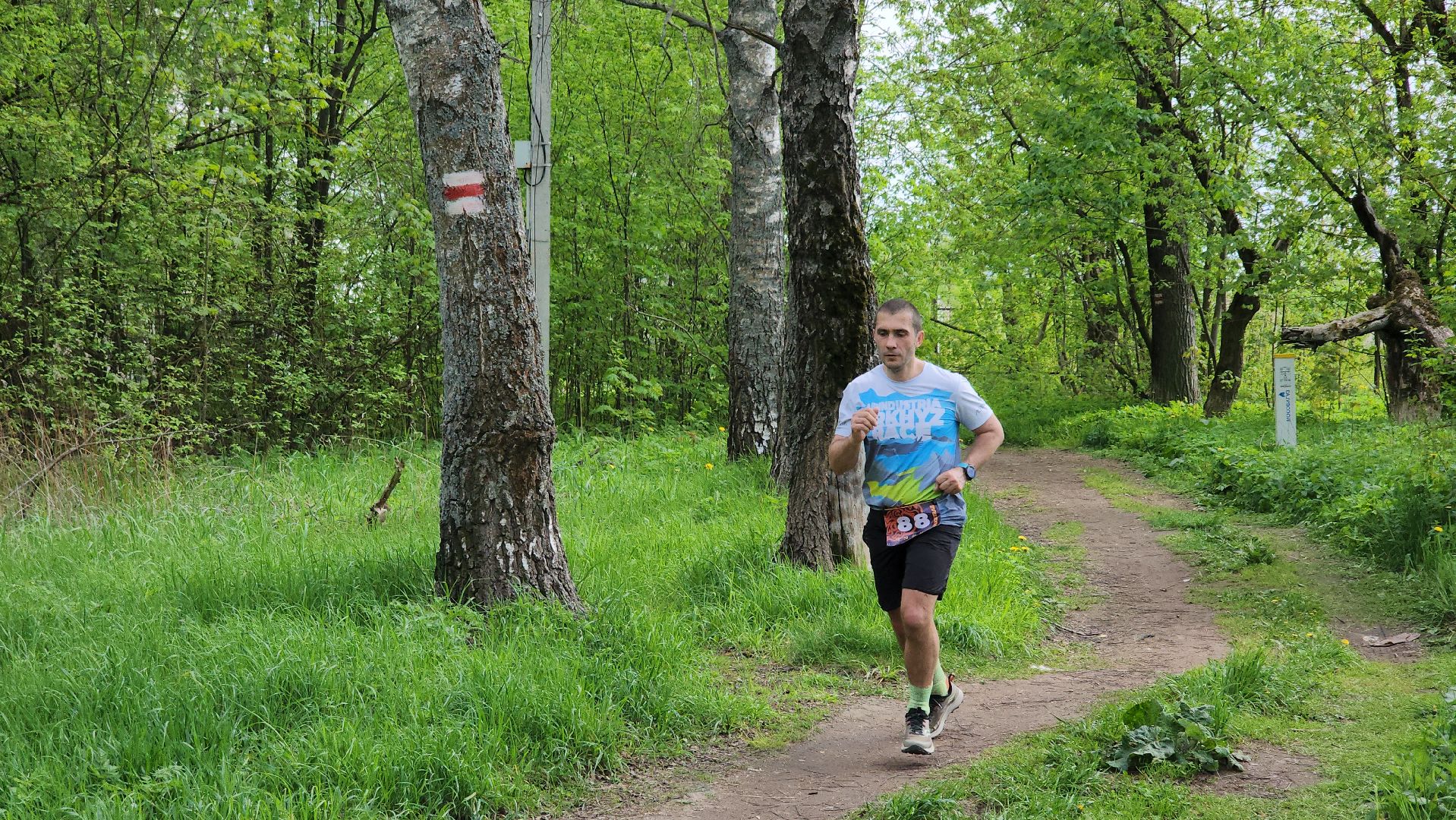 спорт, бег, забег по пересеченной местности, лосино-петровский,