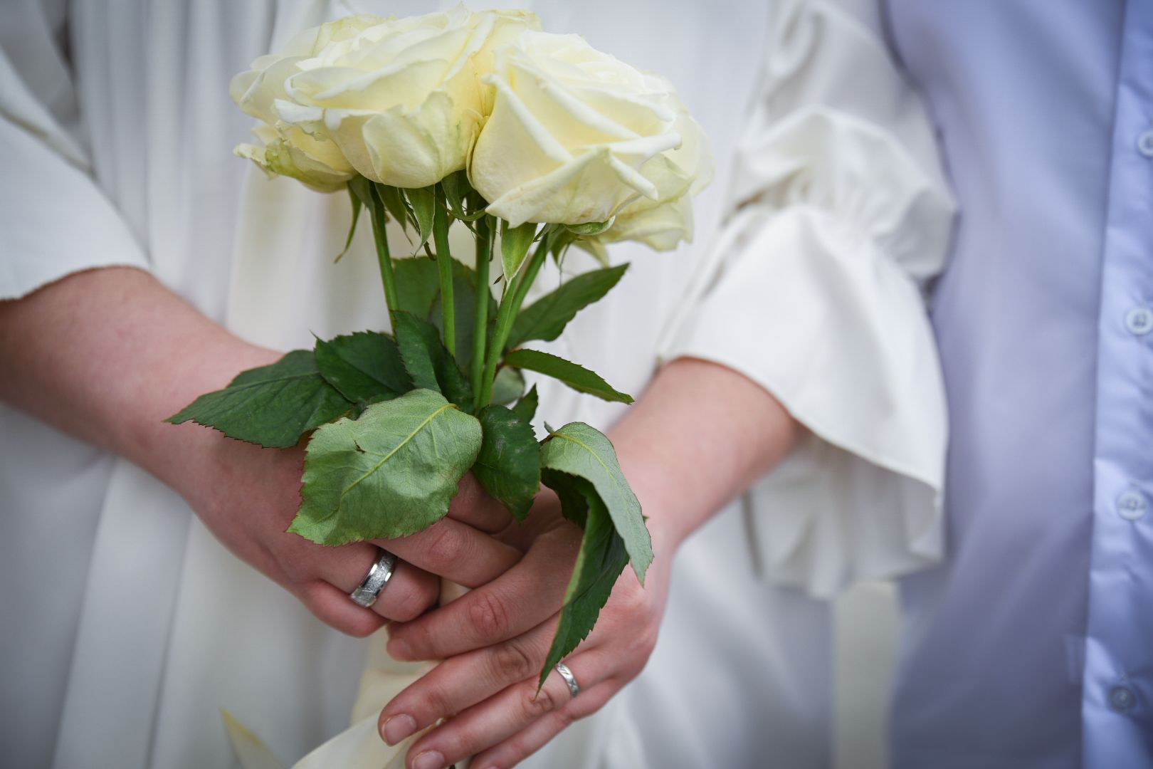 бронницы, выездная регистрация брака, парк бронницкий луг, выездная регистрация брака в Бронницах ,