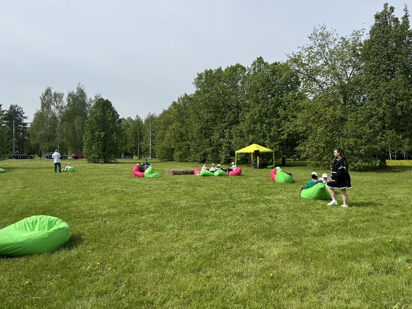 высадка деревьев, ленинский городской округ, сад памяти, возложение цветов,