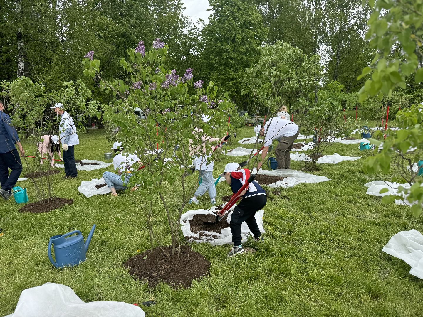 высадка деревьев, ленинский городской округ, сад памяти, возложение цветов,