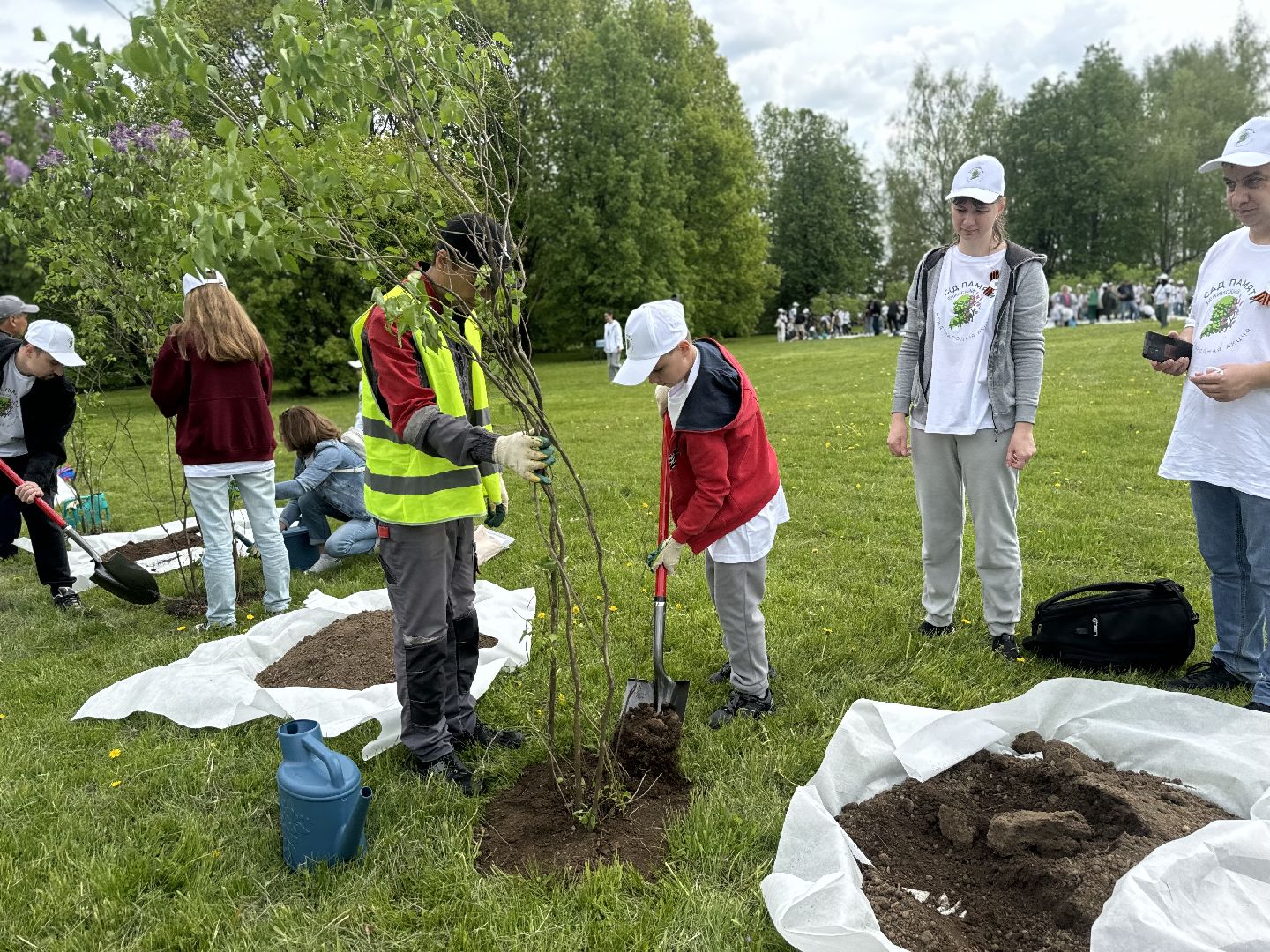 высадка деревьев, ленинский городской округ, сад памяти, возложение цветов,