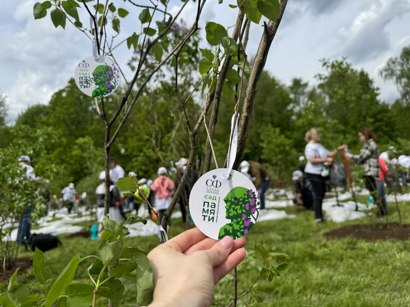 высадка деревьев, ленинский городской округ, сад памяти, возложение цветов,