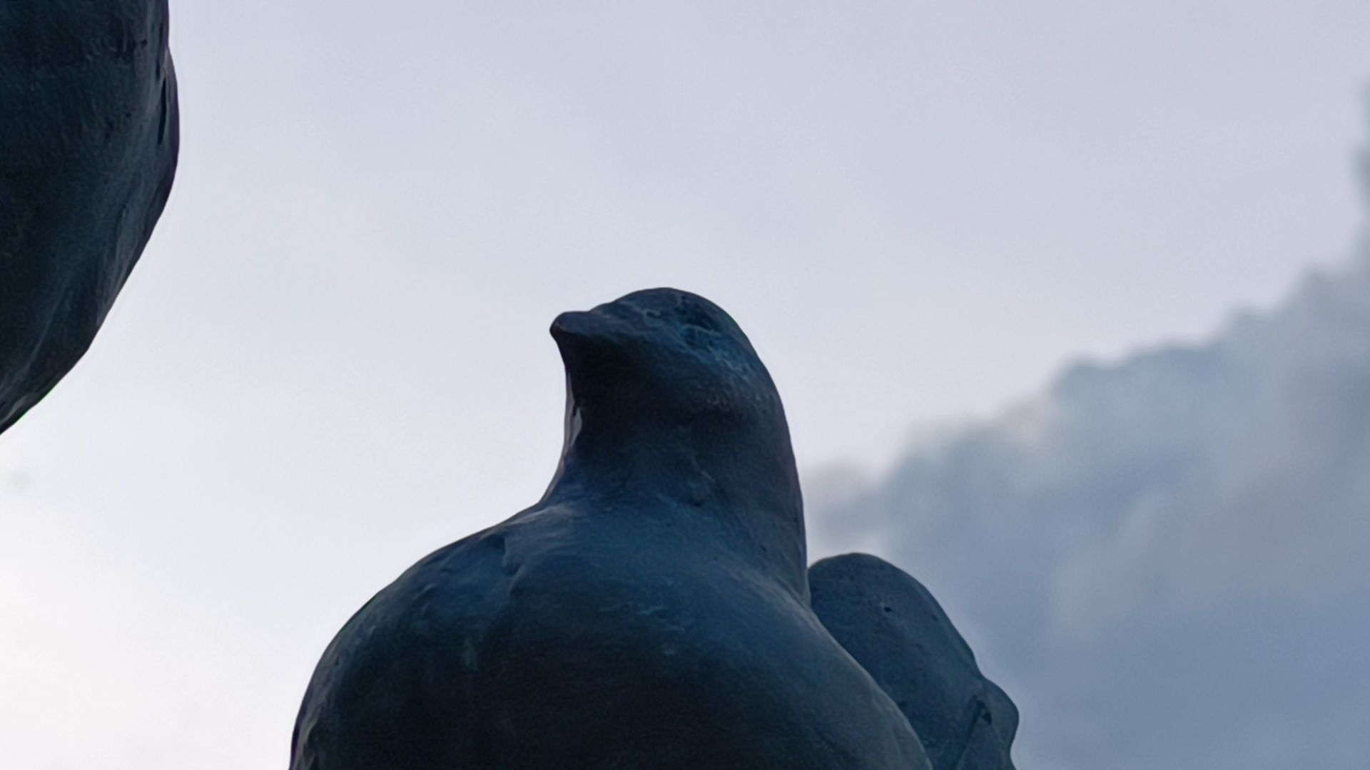 благоустройство, лобня, загс,