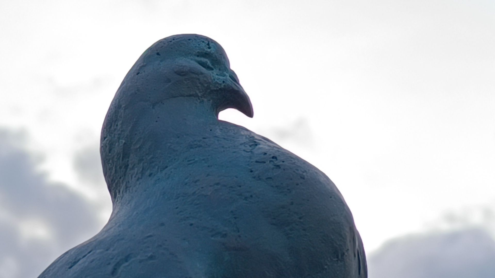 благоустройство, лобня, загс,