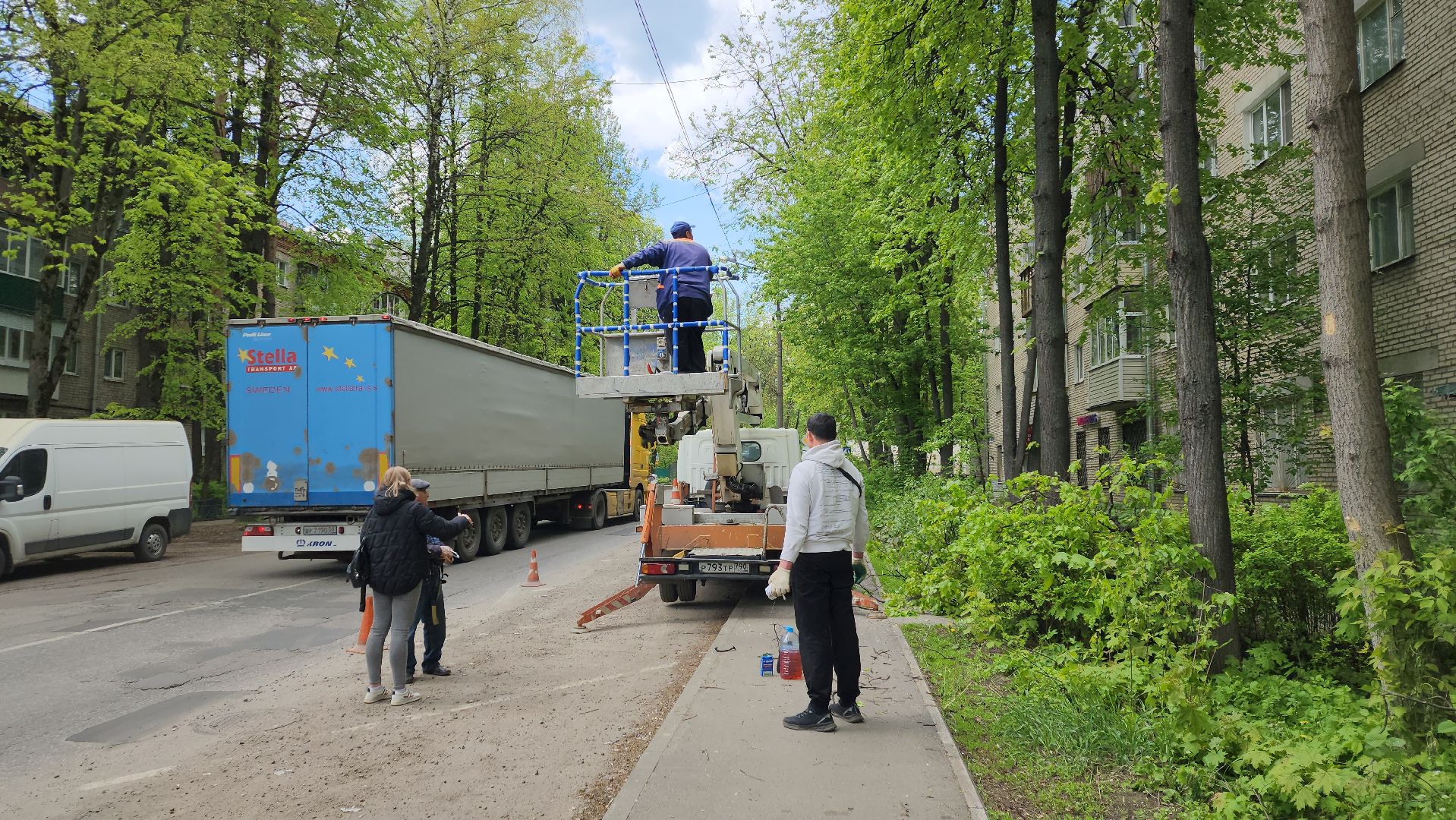 пушкино, спиливание веток, спил деревьев, сухостойные деревья, коммунальная служба,удаление деревьев,