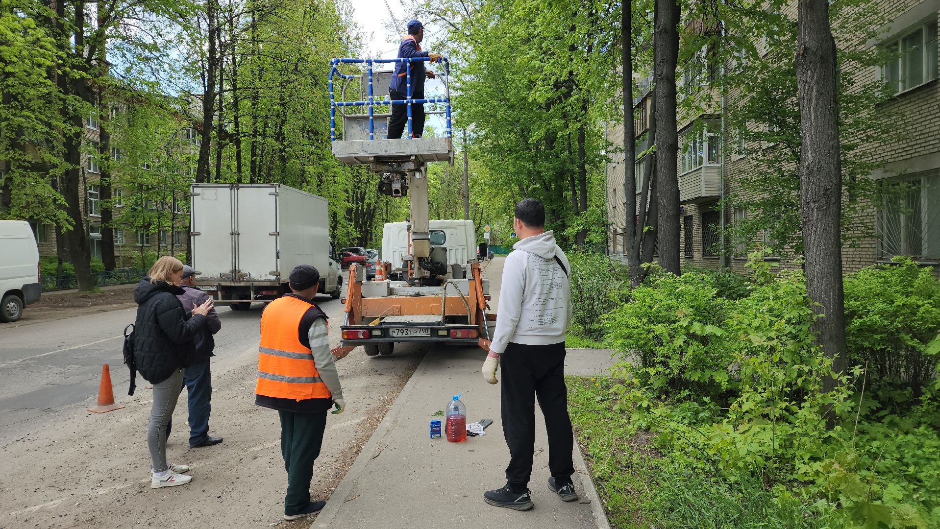 пушкино, спиливание веток, спил деревьев, сухостойные деревья, коммунальная служба,удаление деревьев,