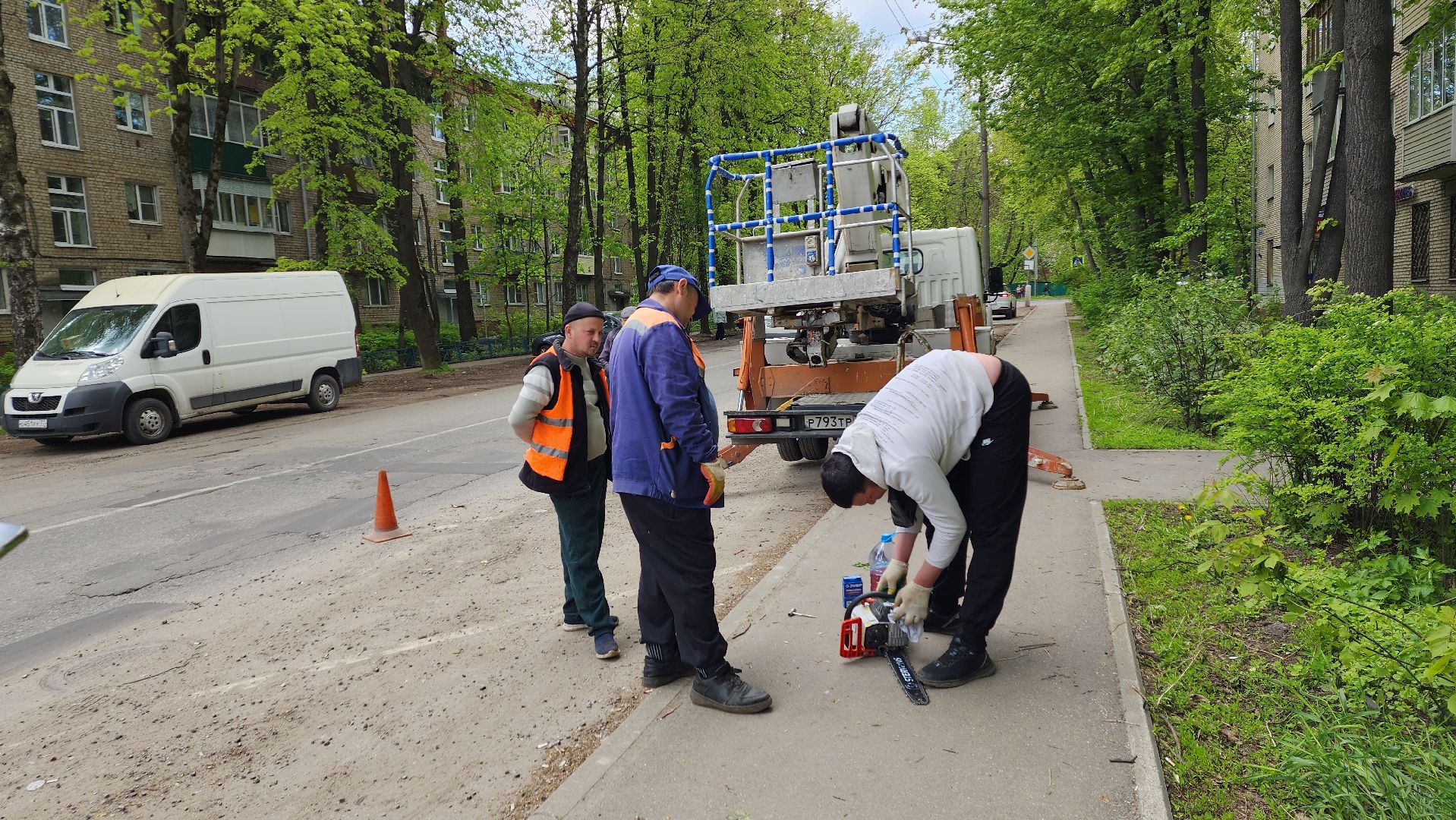пушкино, спиливание веток, спил деревьев, сухостойные деревья, коммунальная служба,удаление деревьев,