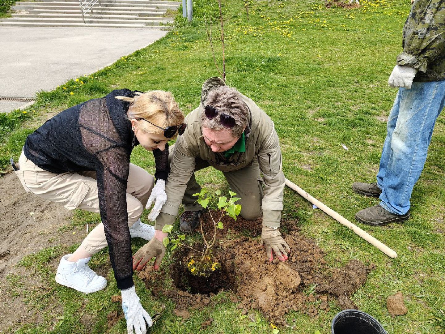 пушкино, сад победы, акция, великая отечественная война, саженцы, берег реки, жители, сотрудники,деревья, высадка деревьев,