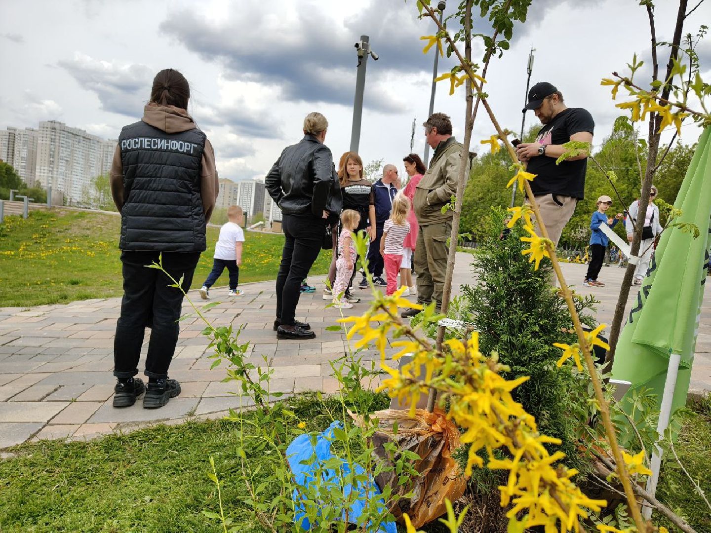 пушкино, сад победы, акция, великая отечественная война, саженцы, берег реки, жители, сотрудники,деревья, высадка деревьев,