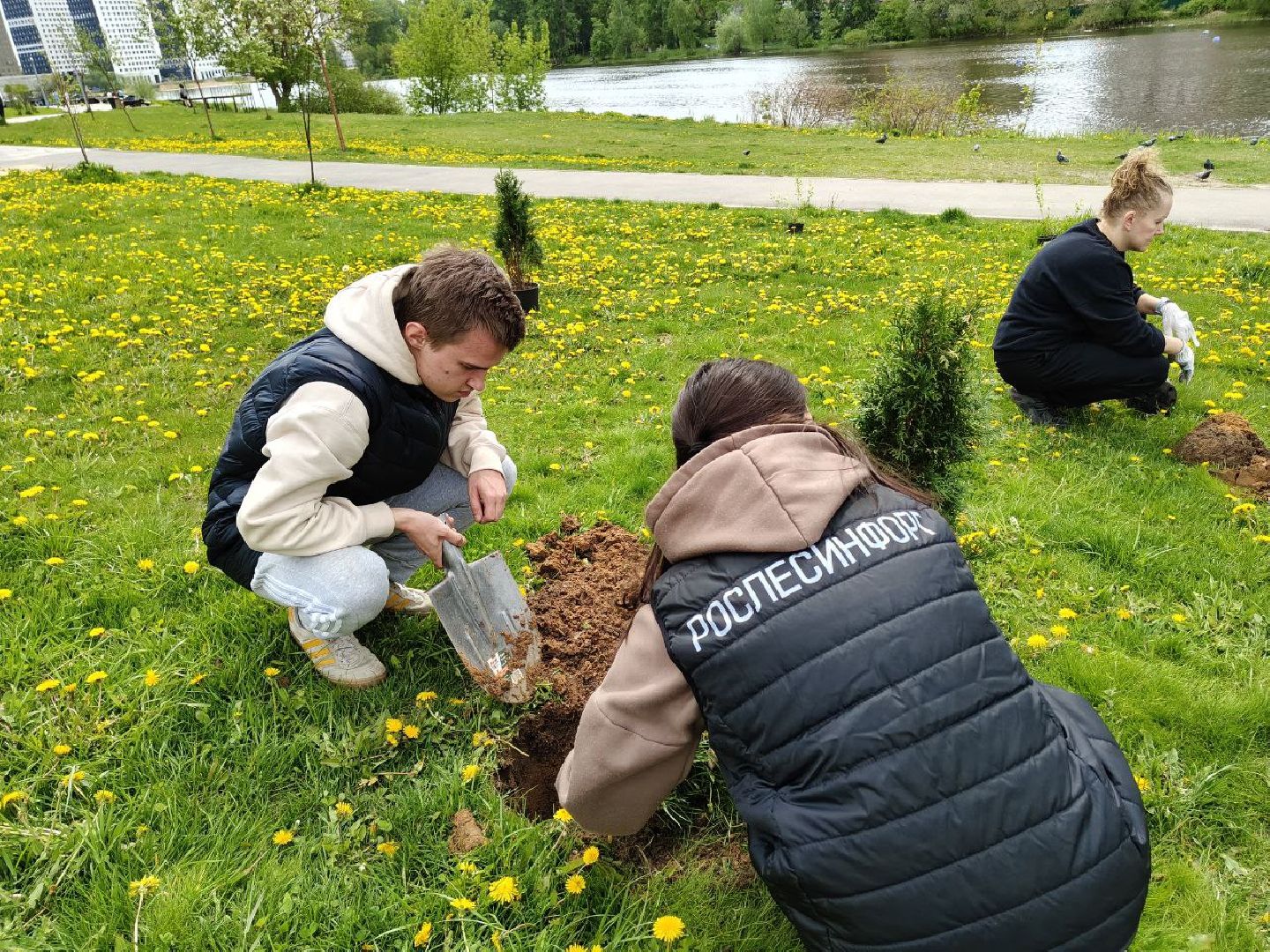 пушкино, сад победы, акция, великая отечественная война, саженцы, берег реки, жители, сотрудники,деревья, высадка деревьев,