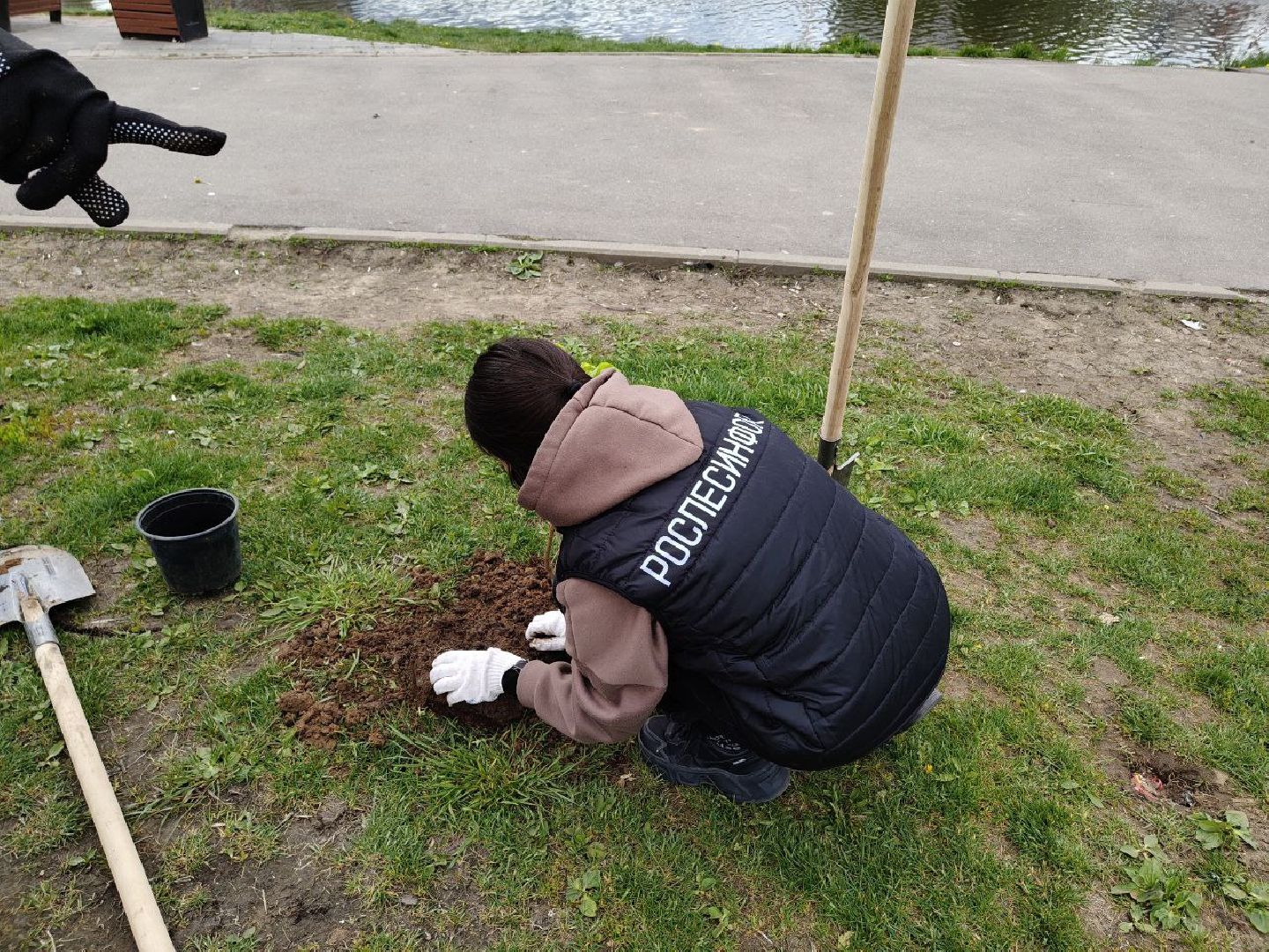пушкино, сад победы, акция, великая отечественная война, саженцы, берег реки, жители, сотрудники,деревья, высадка деревьев,